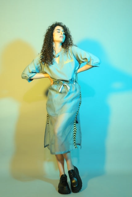 Organza Skirt
